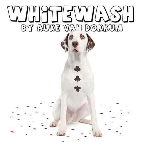 Whitewash - von Auke van Dokkum