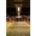 Alneo SANlight S4W Pflanzenlampe, 140-Watt, LED Modul, Modular Grow Pflanzenlicht 